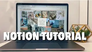 How to organize your life with Notion // Full Notion Tutorial!