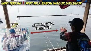 INFO TERKINI❗Spot Nila Babon Waduk jatiluhur Terbaru,Panen Strike Nila Babon Waduk Jatiluhur Terbaru