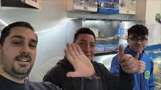 Visitamos a aviario Antonio y Ra&uacute;l aguilar.criadores de gloster y fife fancy🐣