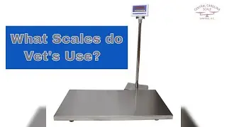 What Scales do Vets Use?