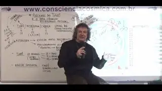 Arcanos do Taro e Astrologia pessoal - DNA cósmico pessoal - 2016