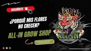 ¿PORQUÉ MIS FLORES NO CRECEN? -GROW SHOP ALL-IN EN PULIANAS GRANADA