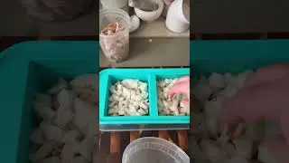 Куриный суп с лапшой в кубиках, пригодных для заморозки #freezermeals