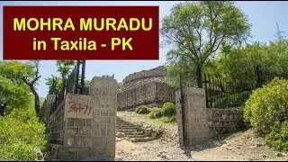 MOHRA MURADU - An Ancient Buddhist stupa and monastery in TAXILA - PAKISTAN