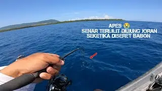 APES TOTAL Mancing Jigging Disambar Babon Seketika Senar Melilit Diujung Joran Auto Panik 😅