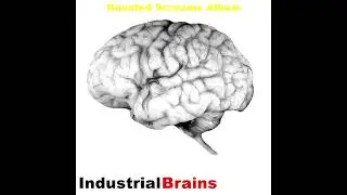Industrial Brains - 