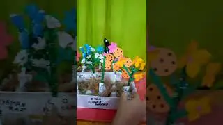 odd and even number garden