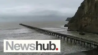 Don't eat the shellfish: Warning issued to parts of New Zealand over toxin | Newshub