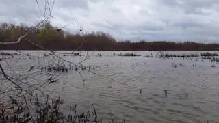 North Texas Duck Hunt