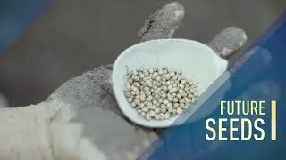 Seeds for the future in Colombia