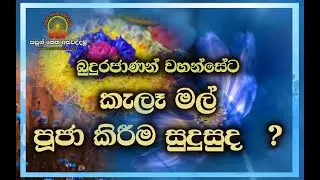 කැලෑ මල් පූජා කිරීම සුදුසුද ?