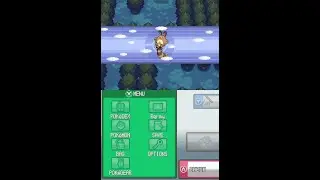 [Nintendo DS] Pok&eacute;mon SoulSilver Walkthrough [10] - Ilex Forest