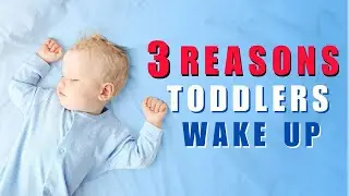 3 Big Reasons Your Toddler Wakes Up At Night