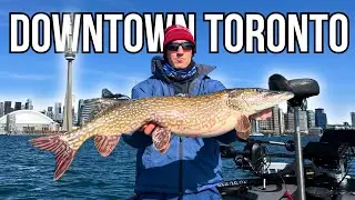 Pike Fishing Toronto Islands - Lake Ontario