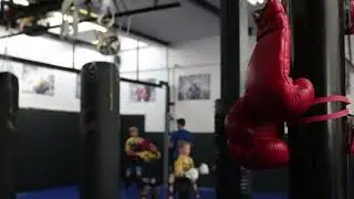 Boys Training For Boxing- 4K Stock Videos | NoCopyright | AllVideoFree