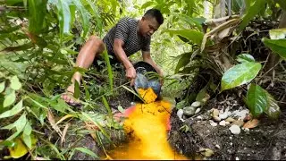 VIRAL..INDONESIA GEGERKAN DUNIA. PENEMUAN SUNGAI PENUH EMAS DI RIAU.SAINGI TAMBANG EMAS PAPUA
