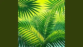 Palm tree leaves
