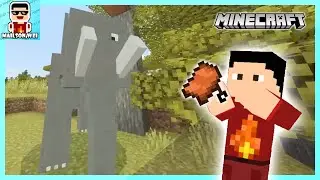 I'm Trying to Tame An Elephant in Minecraft | Elephants Addon Review