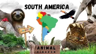 Discover 30 South American Animals: Fun Learning for Kids