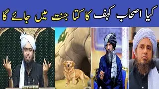 Kya kutta jannat mein jaega 🐕 Mirza engineer || 2025