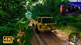 The Most Beautiful Views Of The Forest Extreme Driving Simulator  Beamng drive 4k