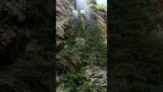 Om Namah Shivaya
