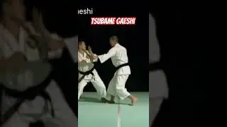 Tsubame Gaeshi | Waza Kyu I | Shorinji Kempo‼️