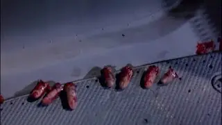 Hacker's fingers remain - Under Siege 2: Dark Territory (1995) HD