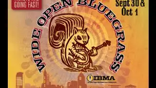 2016 Wide Open Bluegrass Festival