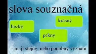 ČJ SLOVA SOUZNAČNÁ