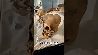 Craneos alargados 💀 &iquest;humanos o alien&iacute;genas? 👽 #LaVidaEsDeQuienLaRueda 🏍️
