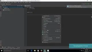 028 Passing arguments to functions in Python