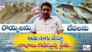Successful polyculture farmer srinivas rao story | polyculture fish farming | shrrimp farming