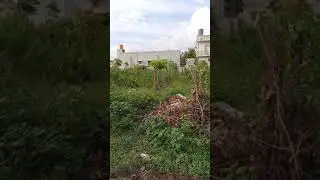 50x80 Site For Sale Gottigere Kothanur Village