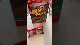 TASTE TEST TIME! Dare Gingerbread Bear Paws! 🍪