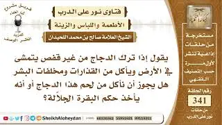 4286  -  حكم الأكل من لحم الدجاج الذي ياكل من الارض ومخلفات البشر -  نور على الدرب