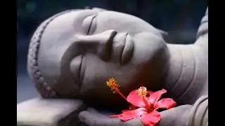 CALMING THE OVERACTIVE MIND
