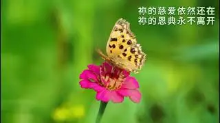 草原颂赞
