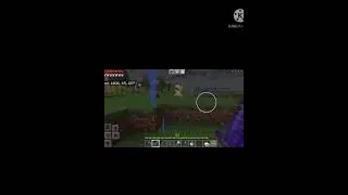 i found the rare mob in Minecraft