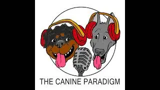 Episode 355: A tired dog is a good dog