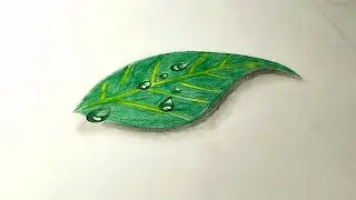 3d leaf with pencil colours.How to draw realistic leaf easily.#leaf#3d