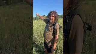 Птичий мегаполис на братском водохранилище