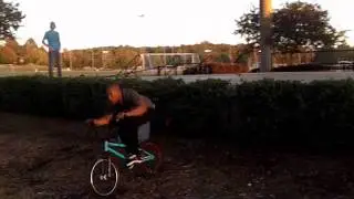 Tupelo Skatepark