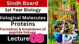 |Biomolecules Xi Chapter 01 Lecture 03 For| MDCAT NUMS BSN NTS Layari Afns JEST PST| SST HST SPSC|