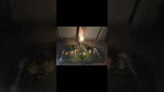 karbi traditional igton kra niyom