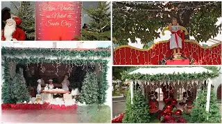 LIVE SANTA CRUZ CHRISTMAS LIGHTS