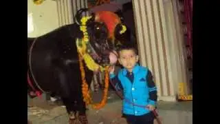 SAIDABAD SADAR SAMELAN 2013