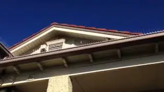 Bird spiking