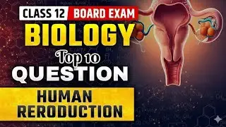 Class 12th Biology Human Reproduction Important Topics And Questions #boardexam 