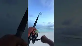wow my friend. look at the fish or the streak.😱